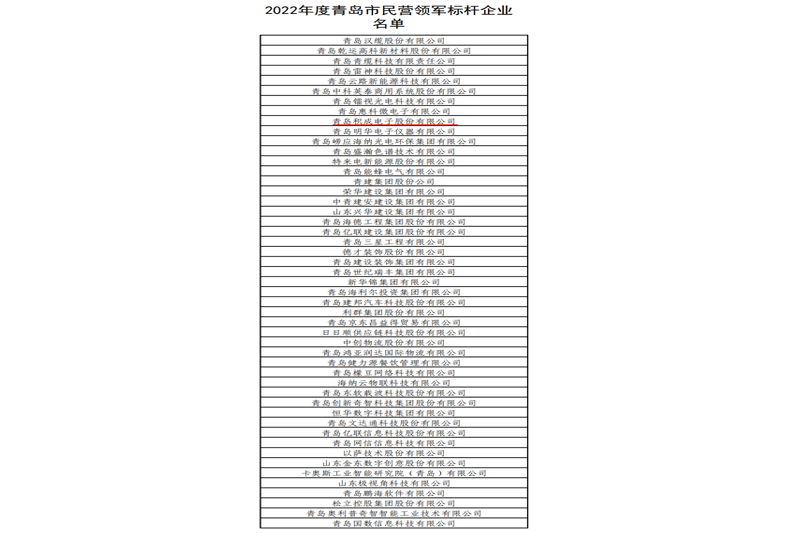 2022年度青岛市民营领军标杆企业