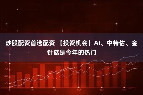 炒股配资首选配资 【投资机会】AI、中特估、金针菇是今年的热门