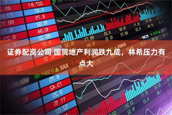 证券配资公司 国贸地产利润跌九成，林希压力有点大